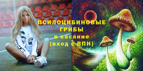 Альфа ПВП Сатка